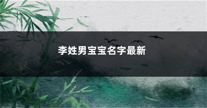 李姓男宝宝名字最新