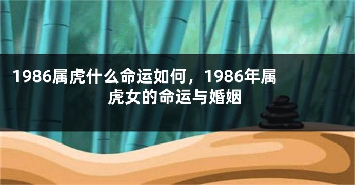 1986属虎什么命运如何，1986年属虎女的命运与婚姻