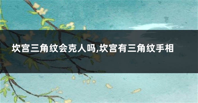 坎宫三角纹会克人吗,坎宫有三角纹手相
