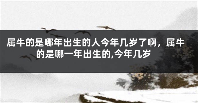 属牛的是哪年出生的人今年几岁了啊，属牛的是哪一年出生的,今年几岁