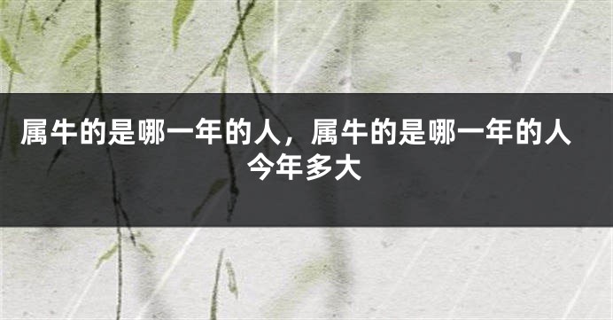 属牛的是哪一年的人，属牛的是哪一年的人今年多大