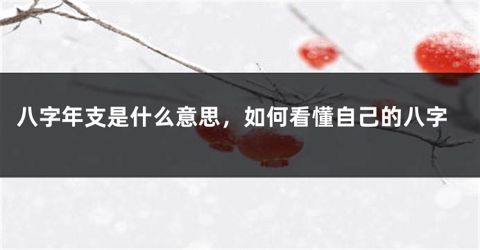 八字年支是什么意思，如何看懂自己的八字