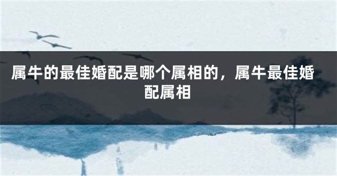 属牛的最佳婚配是哪个属相的，属牛最佳婚配属相