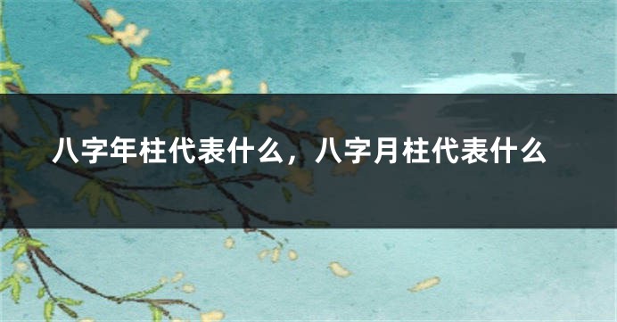 八字年柱代表什么，八字月柱代表什么