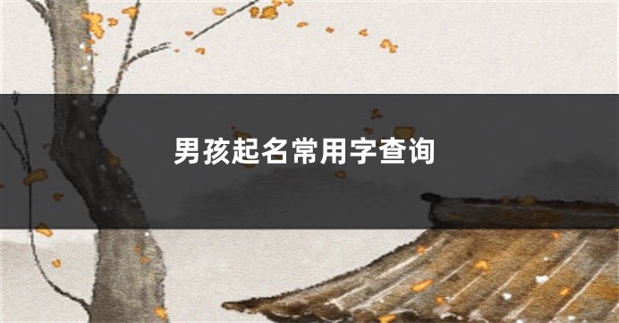 男孩起名常用字查询