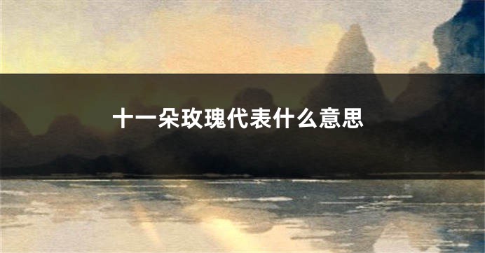 十一朵玫瑰代表什么意思