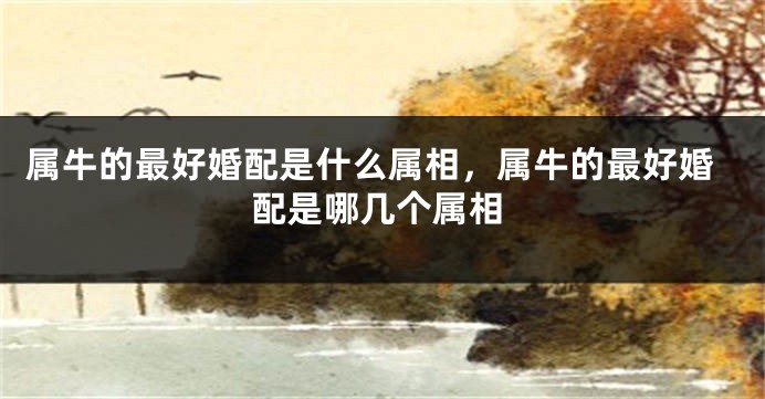 属牛的最好婚配是什么属相，属牛的最好婚配是哪几个属相