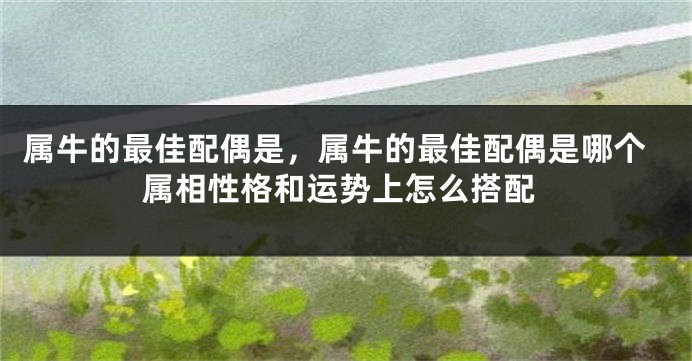 属牛的最佳配偶是，属牛的最佳配偶是哪个属相性格和运势上怎么搭配