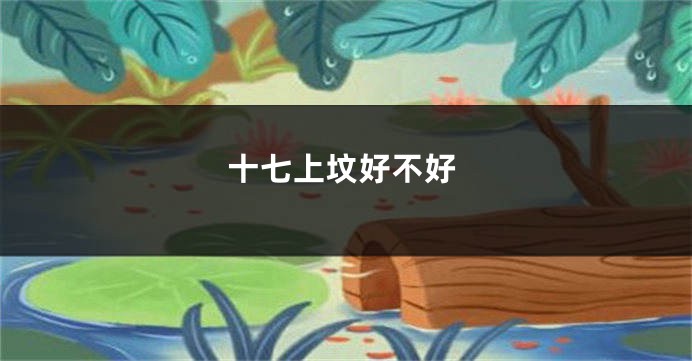 十七上坟好不好
