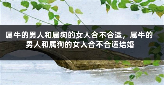 属牛的男人和属狗的女人合不合适，属牛的男人和属狗的女人合不合适结婚