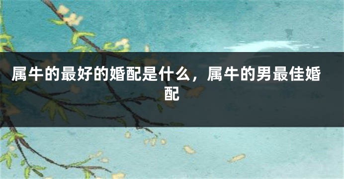 属牛的最好的婚配是什么，属牛的男最佳婚配