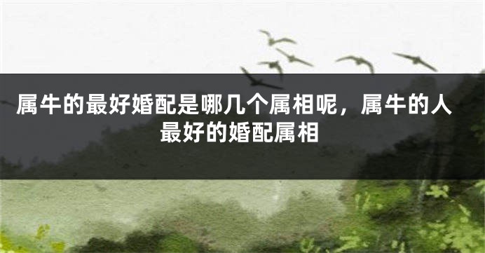 属牛的最好婚配是哪几个属相呢,属牛的人最好的婚配属相
