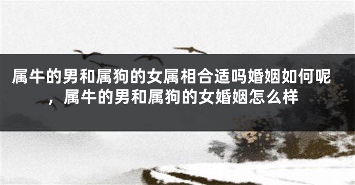 属牛的男和属狗的女属相合适吗婚姻如何呢，属牛的男和属狗的女婚姻怎么样