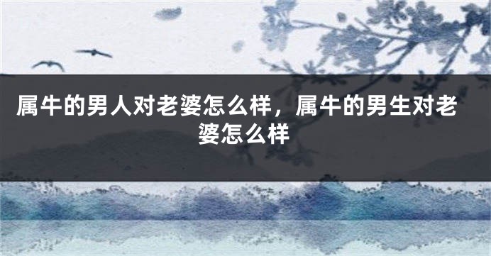 属牛的男人对老婆怎么样，属牛的男生对老婆怎么样
