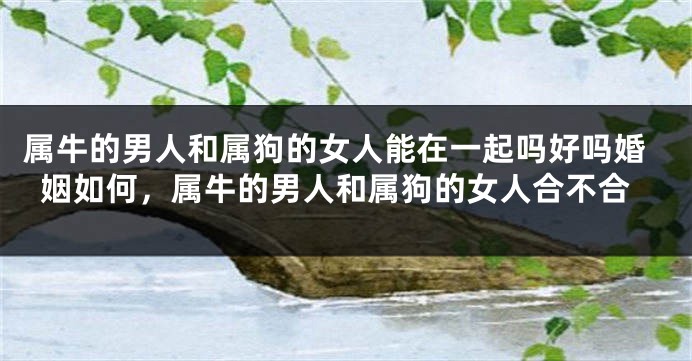 属牛的男人和属狗的女人能在一起吗好吗婚姻如何，属牛的男人和属狗的女人合不合