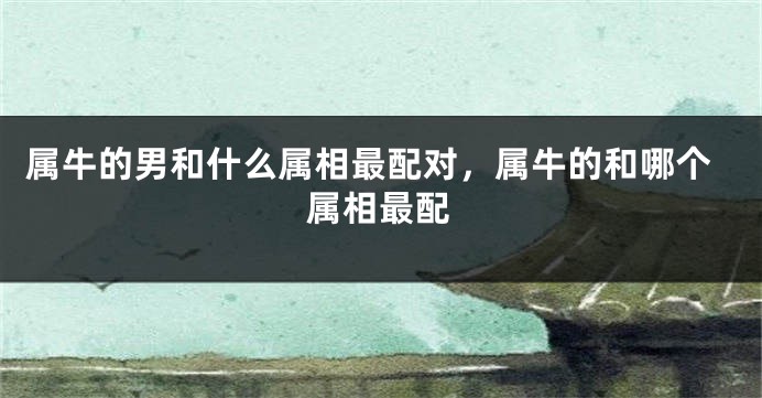 属牛的男和什么属相最配对，属牛的和哪个属相最配