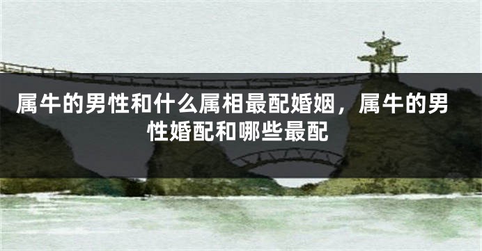 属牛的男性和什么属相最配婚姻，属牛的男性婚配和哪些最配