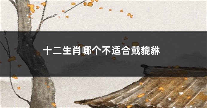 十二生肖哪个不适合戴貔貅