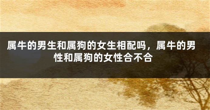 属牛的男生和属狗的女生相配吗，属牛的男性和属狗的女性合不合