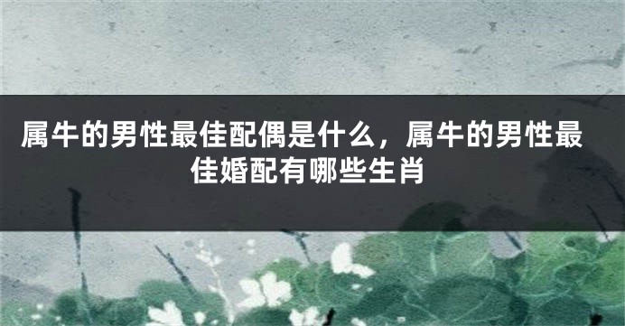 属牛的男性最佳配偶是什么，属牛的男性最佳婚配有哪些生肖