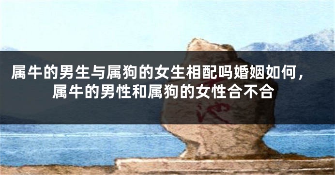 属牛的男生与属狗的女生相配吗婚姻如何，属牛的男性和属狗的女性合不合