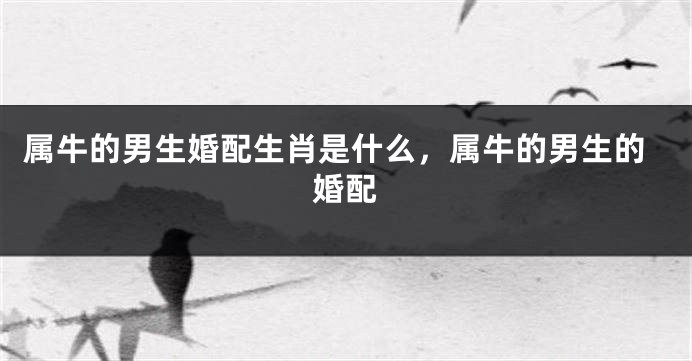 属牛的男生婚配生肖是什么，属牛的男生的婚配