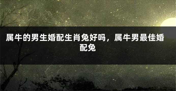 属牛的男生婚配生肖兔好吗，属牛男最佳婚配兔