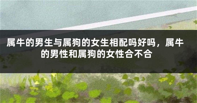 属牛的男生与属狗的女生相配吗好吗，属牛的男性和属狗的女性合不合