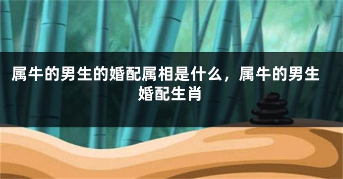 属牛的男生的婚配属相是什么，属牛的男生婚配生肖