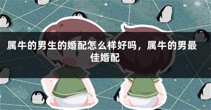 属牛的男生的婚配怎么样好吗，属牛的男最佳婚配