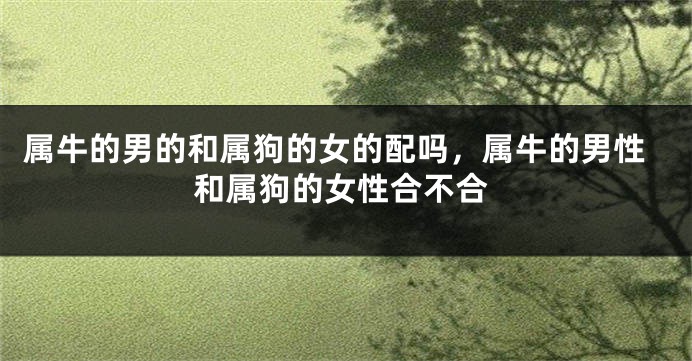 属牛的男的和属狗的女的配吗，属牛的男性和属狗的女性合不合