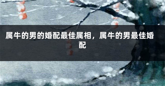 属牛的男的婚配最佳属相，属牛的男最佳婚配