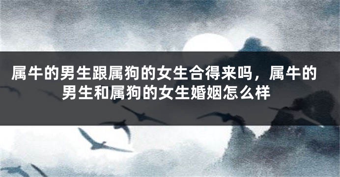 属牛的男生跟属狗的女生合得来吗，属牛的男生和属狗的女生婚姻怎么样