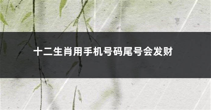 十二生肖用手机号码尾号会发财