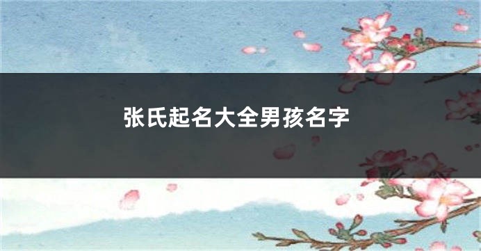 张氏起名大全男孩名字