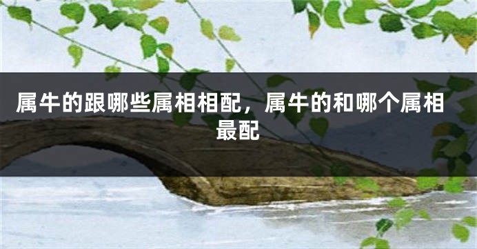 属牛的跟哪些属相相配，属牛的和哪个属相最配