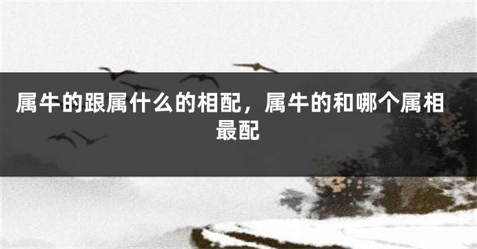 属牛的跟属什么的相配，属牛的和哪个属相最配