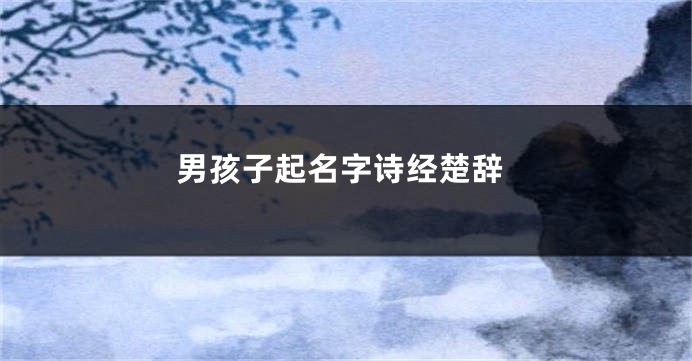 男孩子起名字诗经楚辞