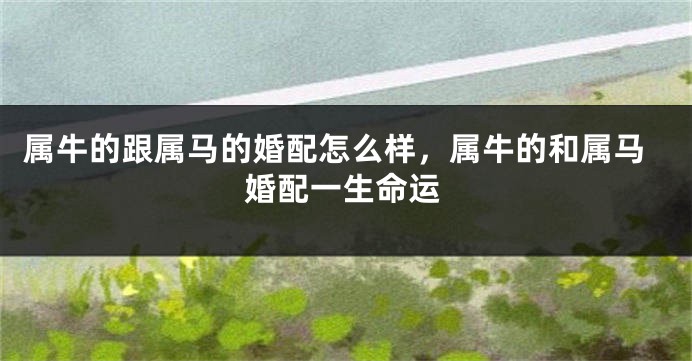 属牛的跟属马的婚配怎么样，属牛的和属马婚配一生命运