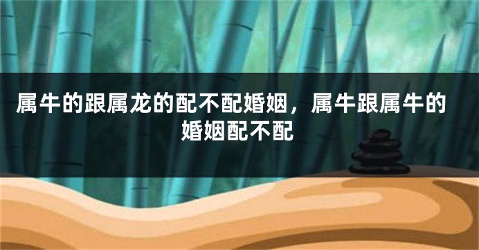 属牛的跟属龙的配不配婚姻,属牛跟属牛的婚姻配不配