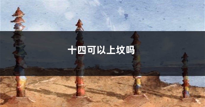 十四可以上坟吗