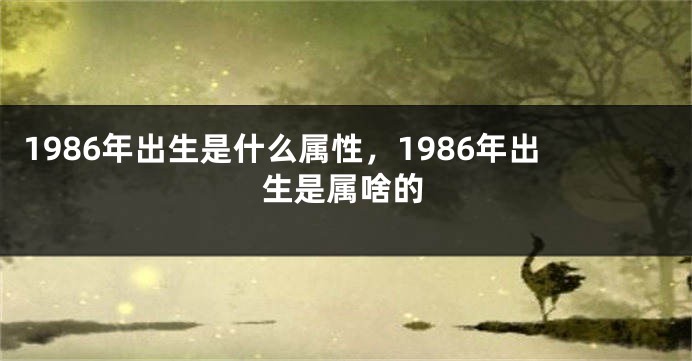 1986年出生是什么属性，1986年出生是属啥的