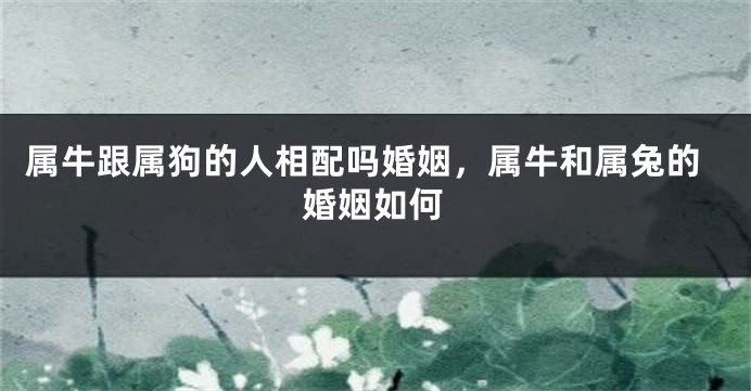 属牛跟属狗的人相配吗婚姻，属牛和属兔的婚姻如何