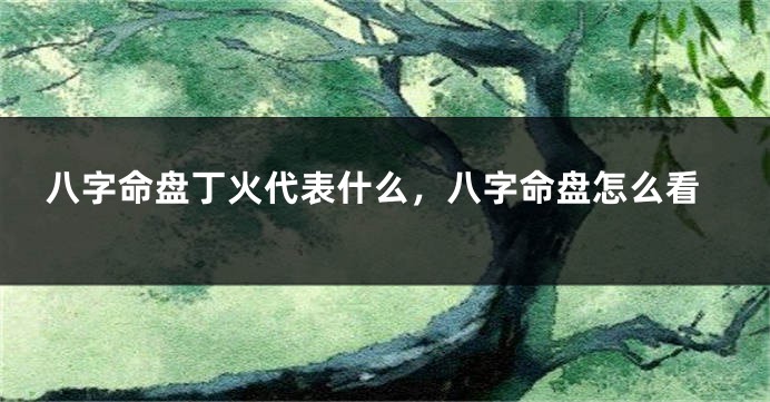 八字命盘丁火代表什么，八字命盘怎么看