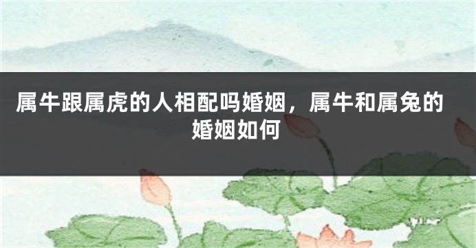 属牛跟属虎的人相配吗婚姻，属牛和属兔的婚姻如何