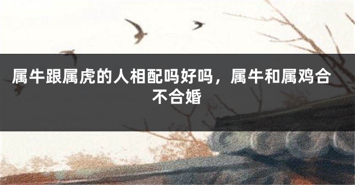 属牛跟属虎的人相配吗好吗，属牛和属鸡合不合婚