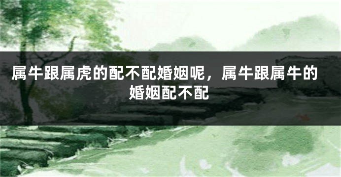 属牛跟属虎的配不配婚姻呢，属牛跟属牛的婚姻配不配