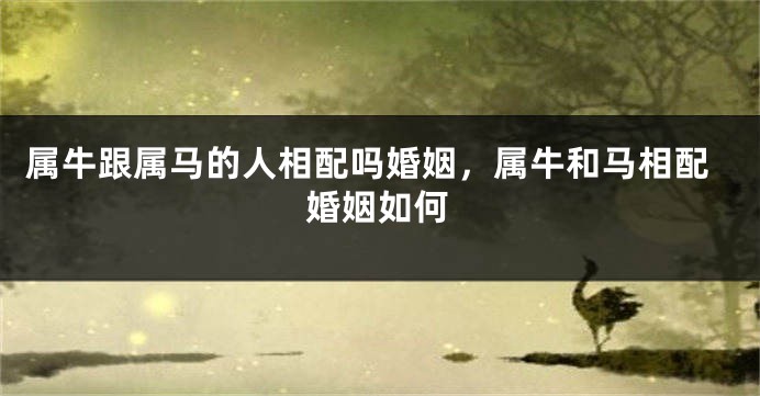 属牛跟属马的人相配吗婚姻，属牛和马相配婚姻如何