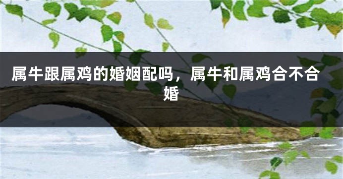 属牛跟属鸡的婚姻配吗，属牛和属鸡合不合婚