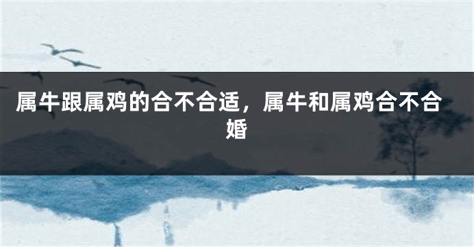 属牛跟属鸡的合不合适，属牛和属鸡合不合婚